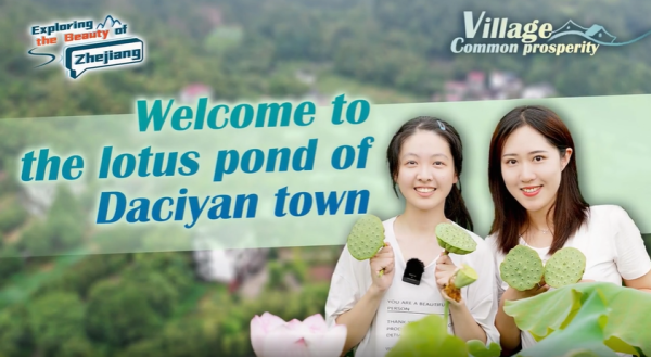 Village Common Prosperity | Lotus pond of Daciyan Town