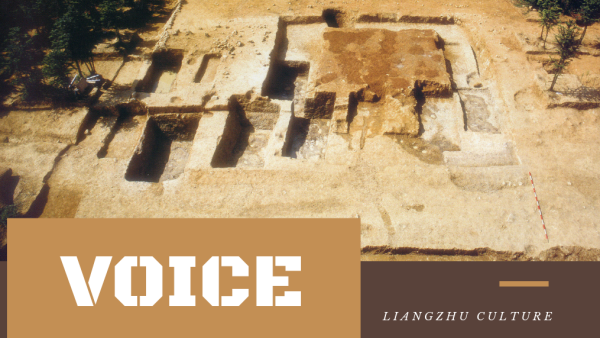 Voice: Influential Chinese experts on Liangzhu Ancient City